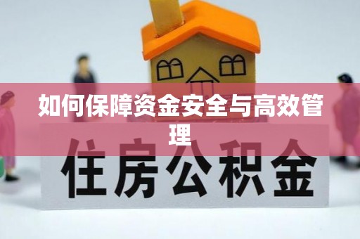 裕安如何保障资金安全与高效管理