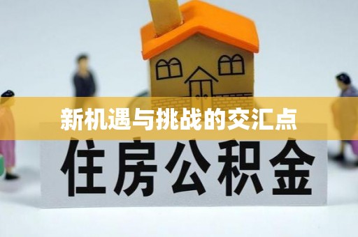 裕安新机遇与挑战的交汇点