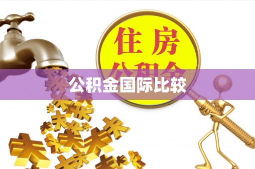 裕安公积金国际比较