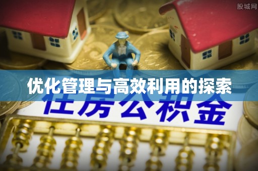 裕安优化管理与高效利用的探索
