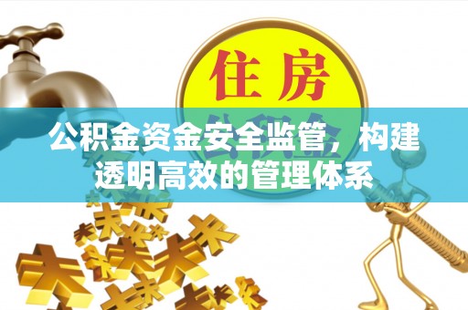 裕安公积金资金安全监管，构建透明高效的管理体系