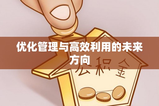 裕安优化管理与高效利用的未来方向