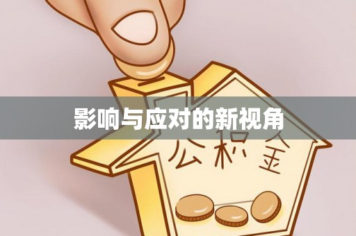 裕安影响与应对的新视角