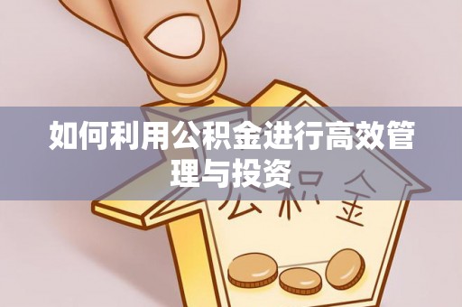 裕安如何利用公积金进行高效管理与投资