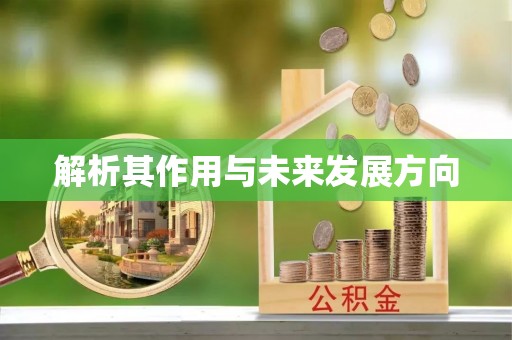 裕安解析其作用与未来发展方向