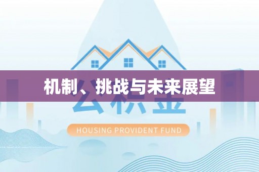 裕安机制、挑战与未来展望